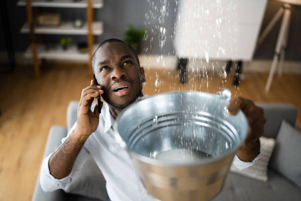 Best Water damage restoration near me  in Rodeo, CA