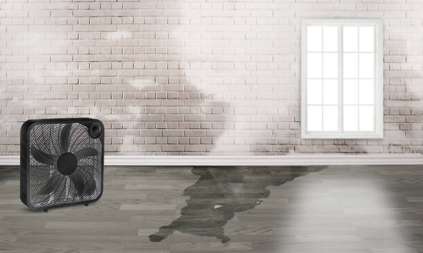 Professional Water damage restoration in Rodeo, CA