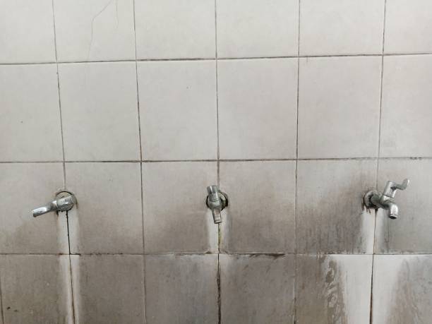 Best Emergency water damage restoration  in Rodeo, CA