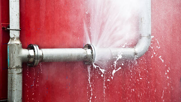 Best Flood damage cleanup  in Rodeo, CA